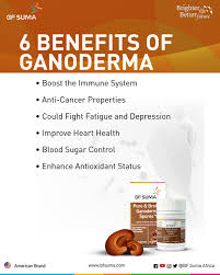 BF Suma Pure & Broken Ganoderma Spores