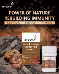 Pure &Broken Ganoderma Spores 60‘s